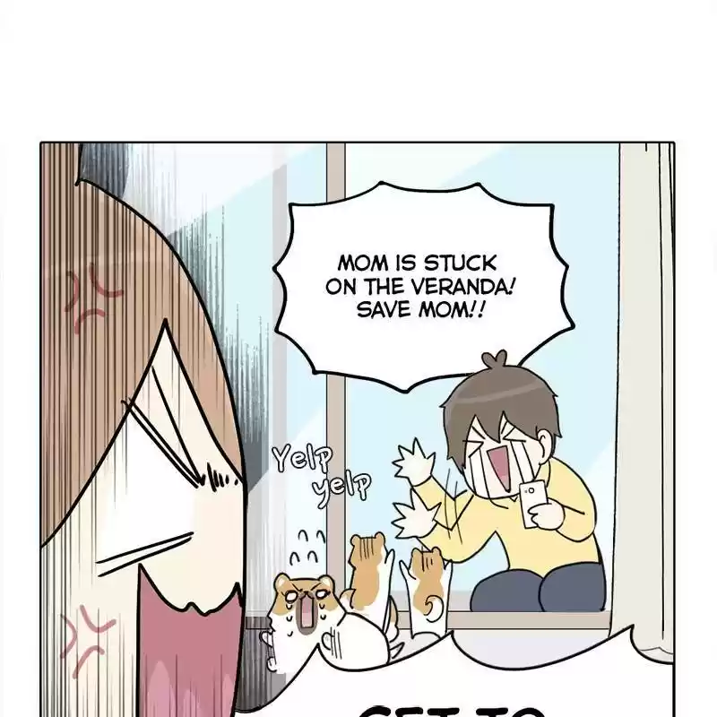 The Dog Diaries Chapter 1