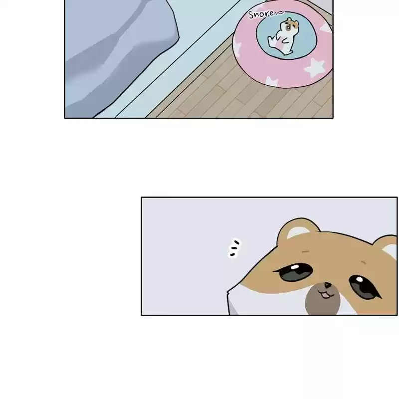 The Dog Diaries Chapter 1