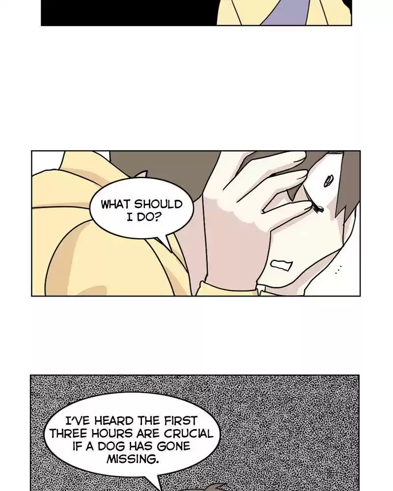 The Dog Diaries Chapter 10