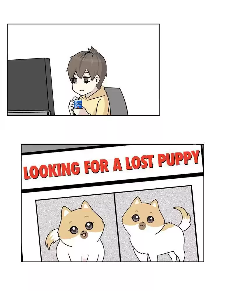 The Dog Diaries Chapter 10