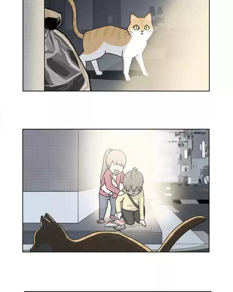 The Dog Diaries Chapter 10