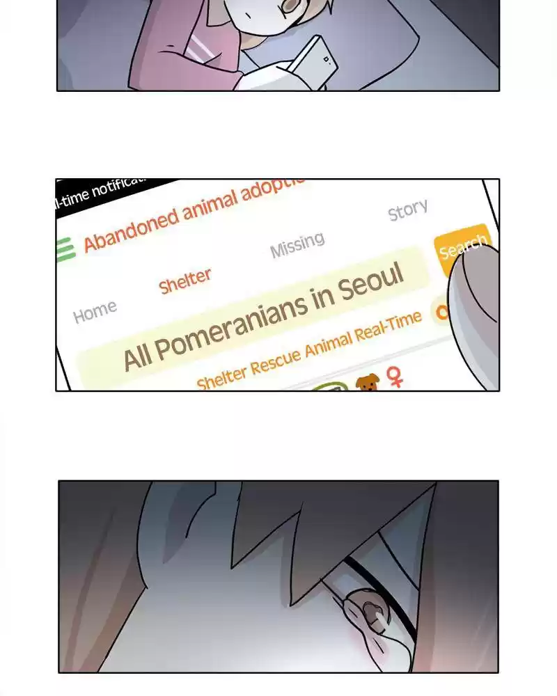 The Dog Diaries Chapter 10