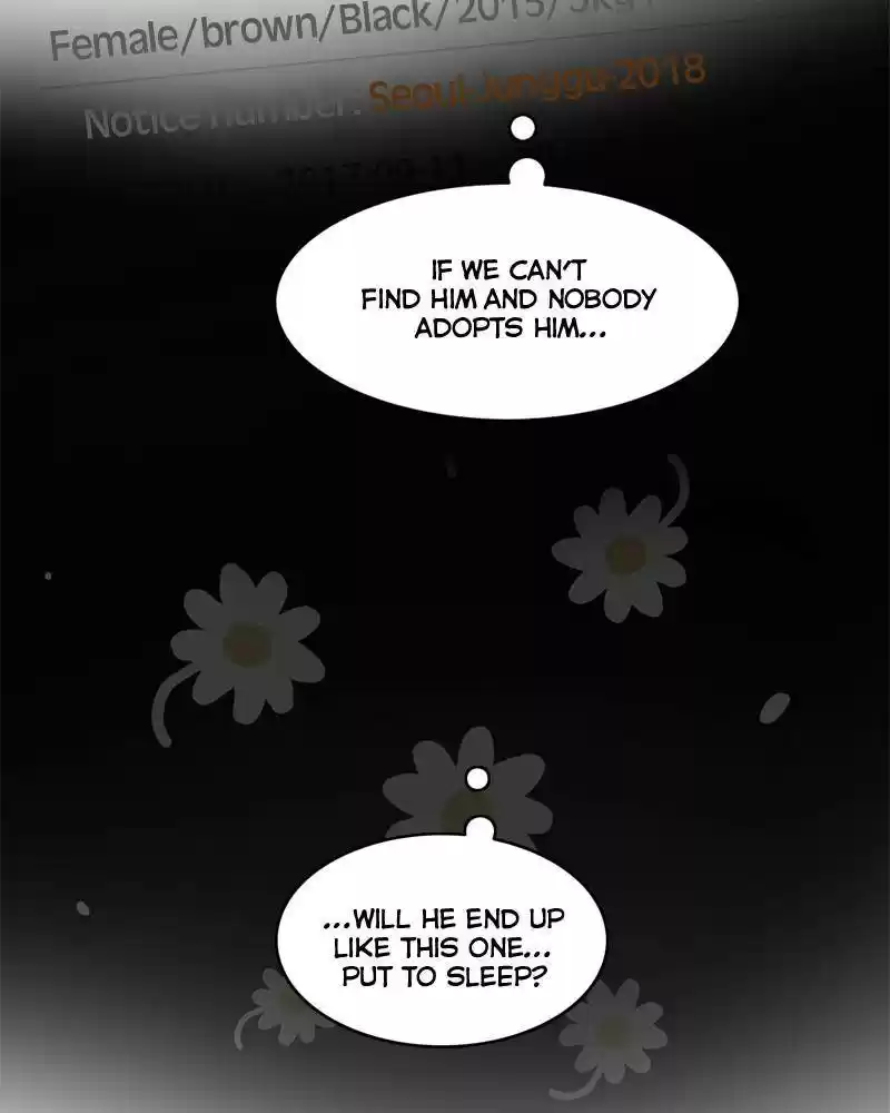 The Dog Diaries Chapter 10