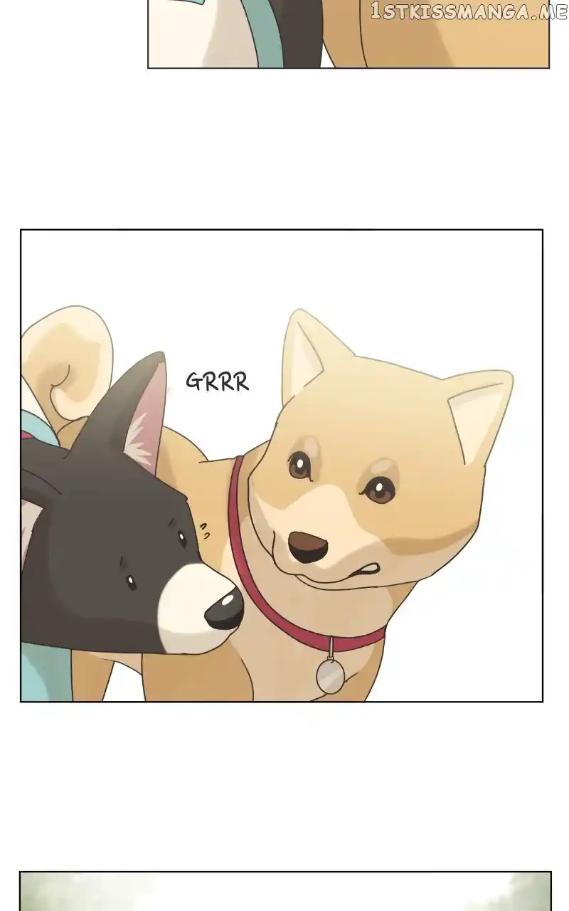 The Dog Diaries Chapter 100