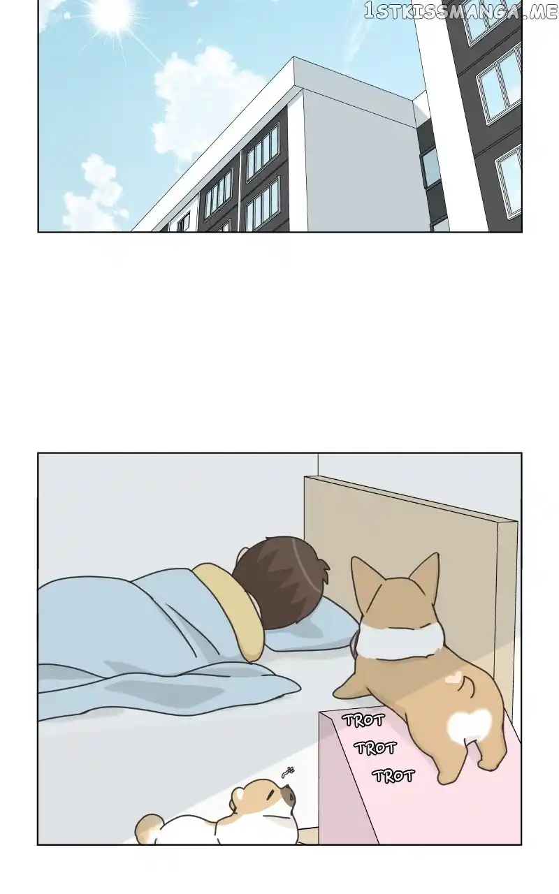 The Dog Diaries Chapter 100