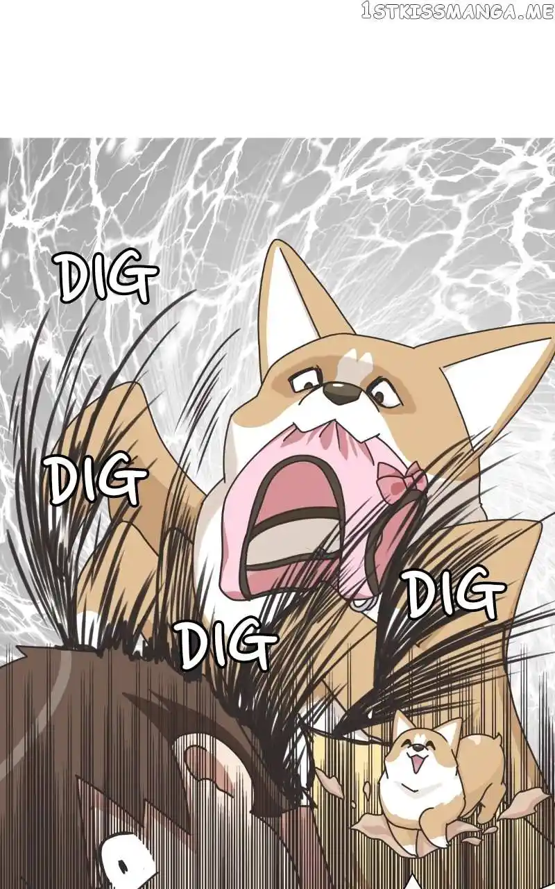 The Dog Diaries Chapter 100