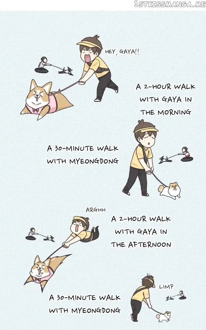 The Dog Diaries Chapter 100