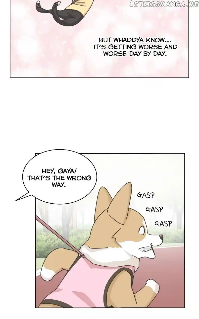 The Dog Diaries Chapter 100