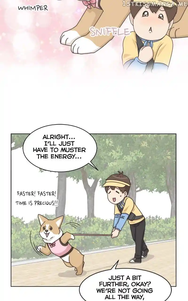 The Dog Diaries Chapter 100