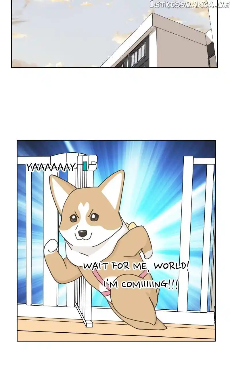 The Dog Diaries Chapter 100
