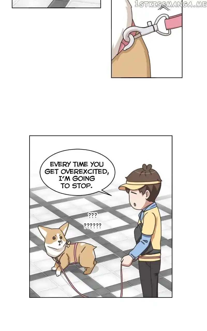 The Dog Diaries Chapter 100