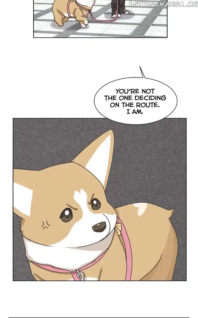 The Dog Diaries Chapter 100