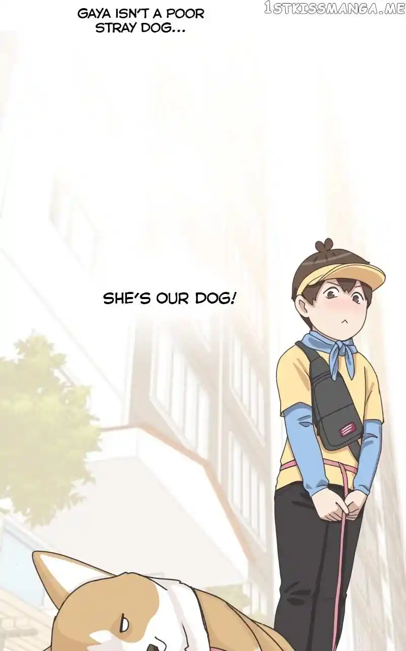 The Dog Diaries Chapter 100