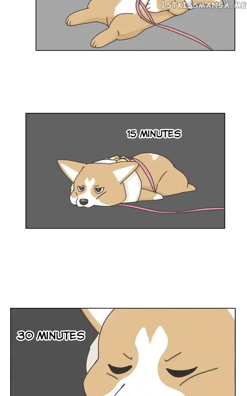 The Dog Diaries Chapter 100