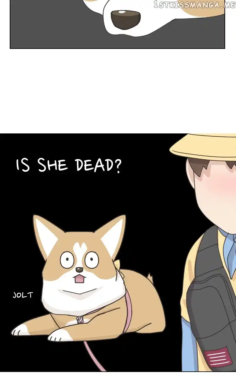 The Dog Diaries Chapter 100