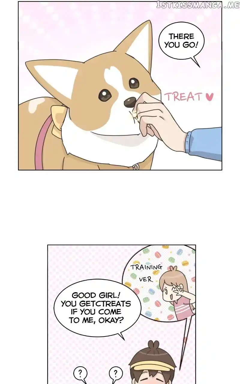 The Dog Diaries Chapter 100