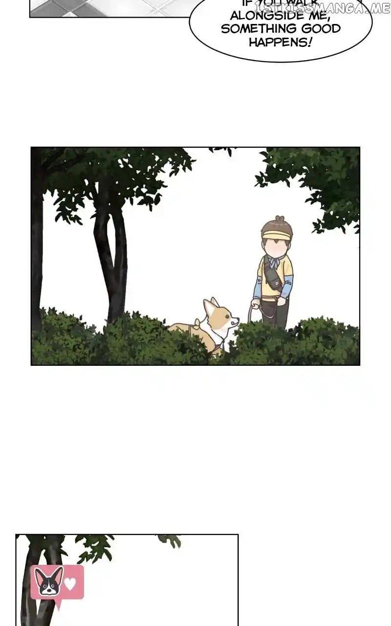 The Dog Diaries Chapter 100