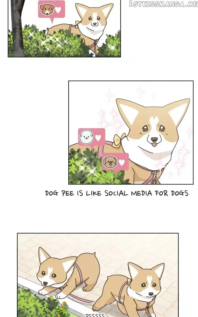 The Dog Diaries Chapter 100