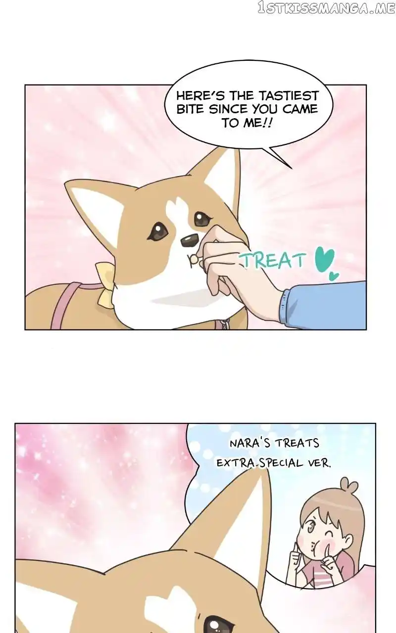 The Dog Diaries Chapter 100