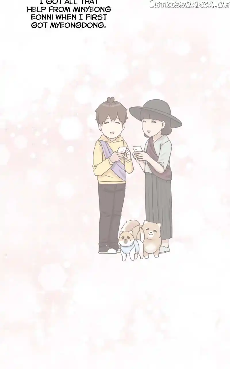 The Dog Diaries Chapter 100