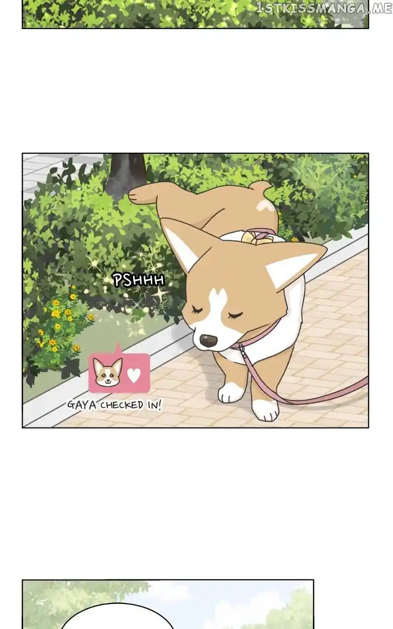 The Dog Diaries Chapter 101