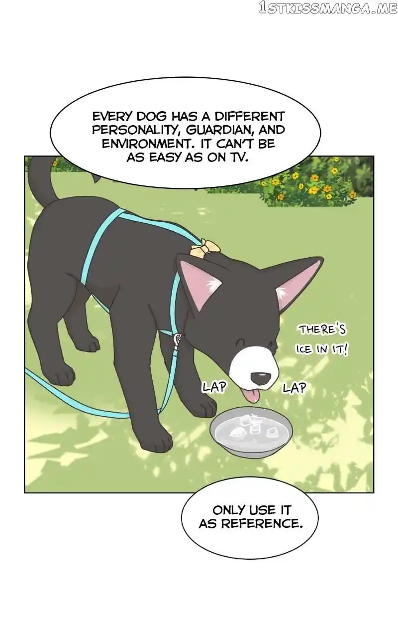 The Dog Diaries Chapter 101