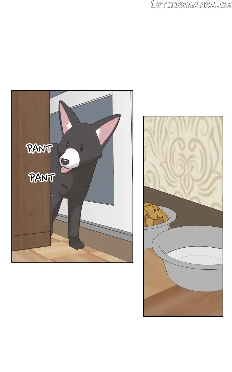 The Dog Diaries Chapter 101