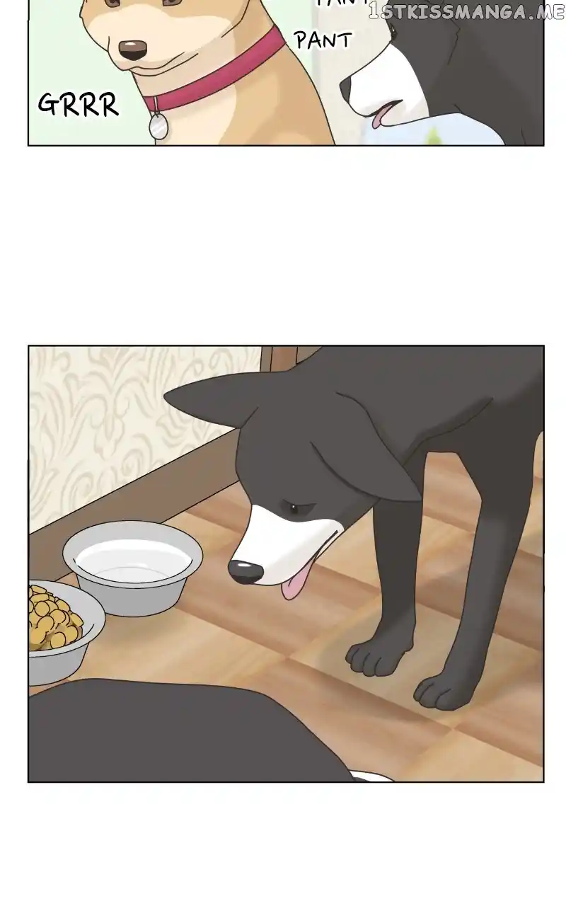 The Dog Diaries Chapter 101