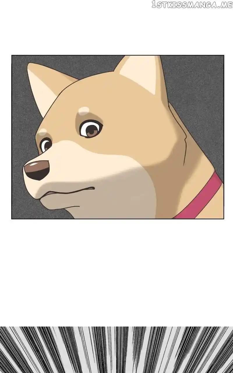 The Dog Diaries Chapter 101