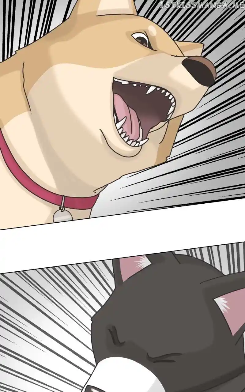 The Dog Diaries Chapter 101