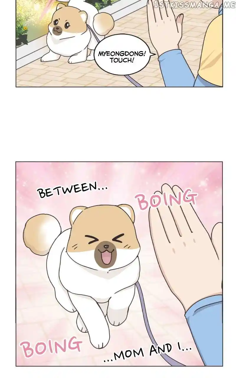 The Dog Diaries Chapter 101