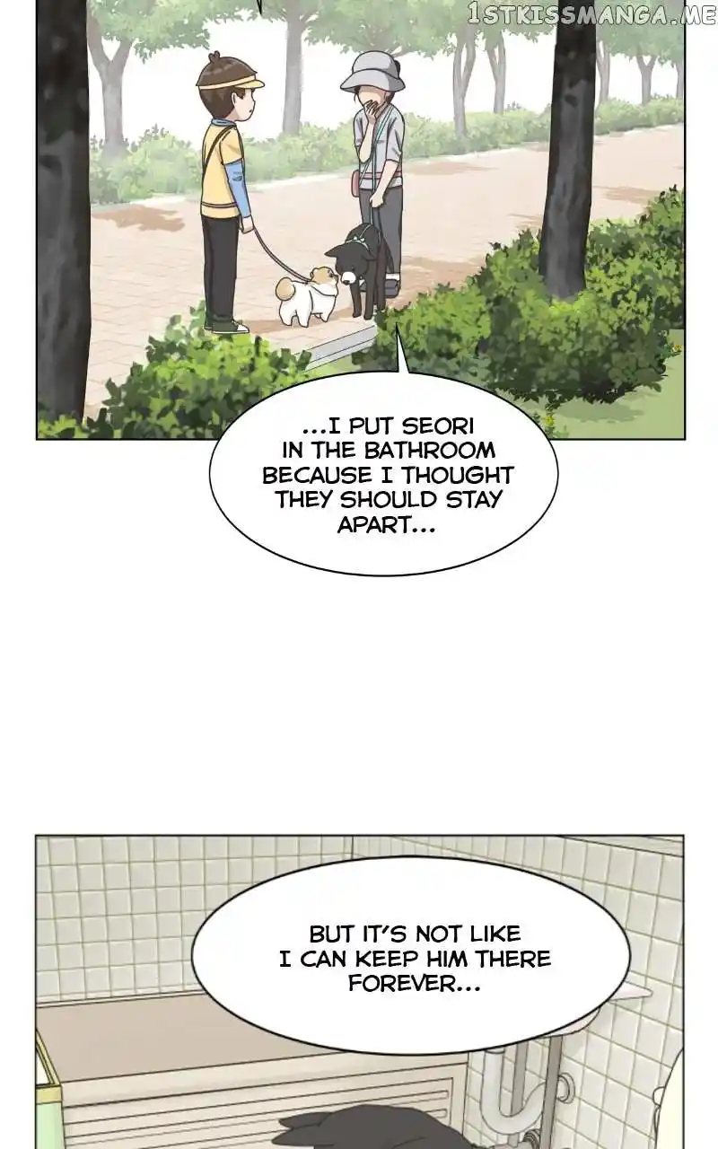 The Dog Diaries Chapter 101