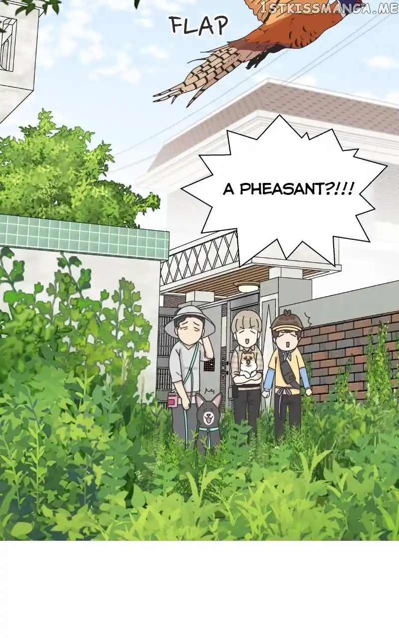 The Dog Diaries Chapter 102