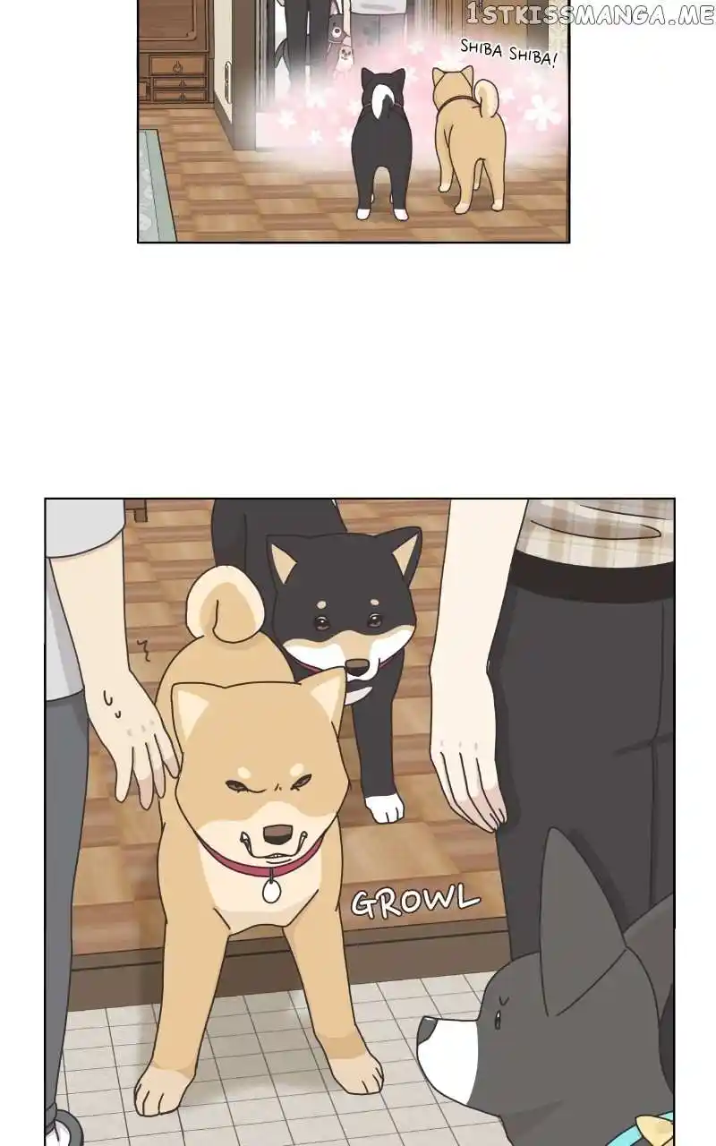 The Dog Diaries Chapter 102