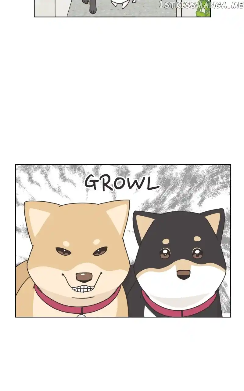 The Dog Diaries Chapter 102