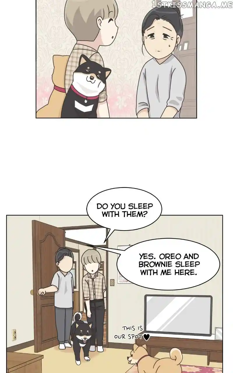 The Dog Diaries Chapter 102