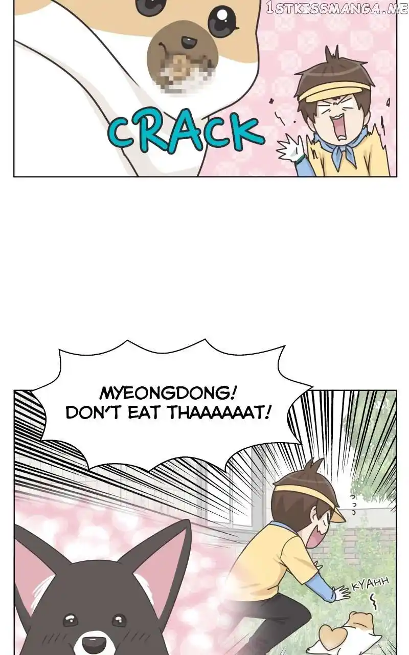 The Dog Diaries Chapter 102