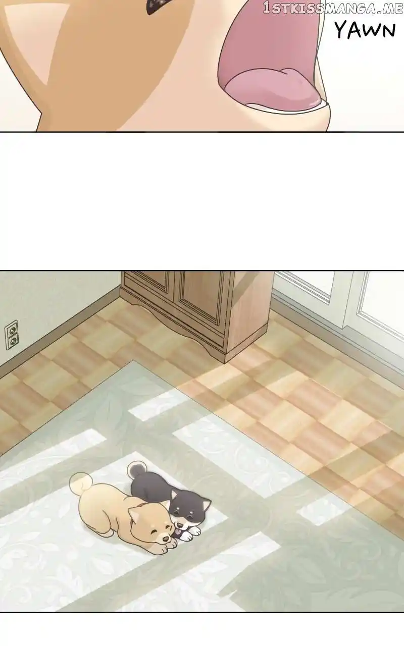 The Dog Diaries Chapter 102