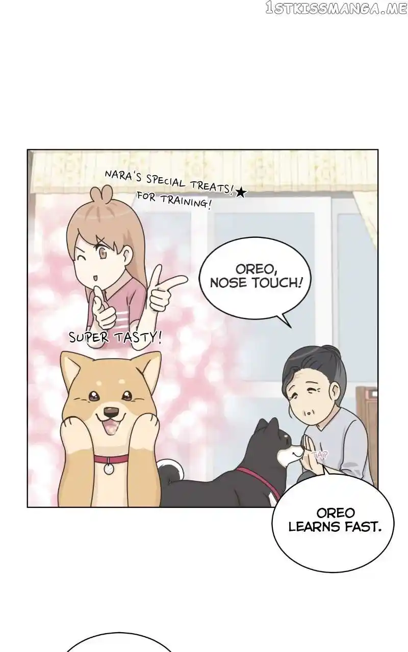 The Dog Diaries Chapter 103