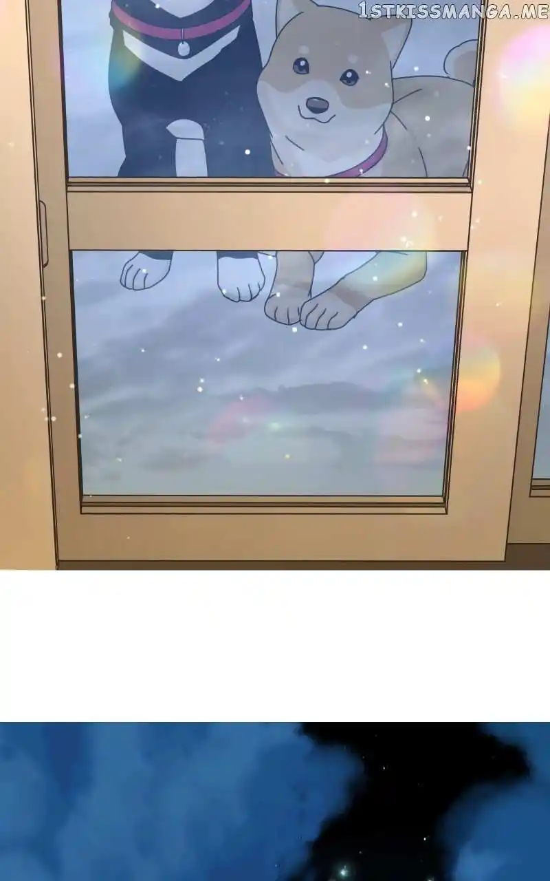 The Dog Diaries Chapter 103