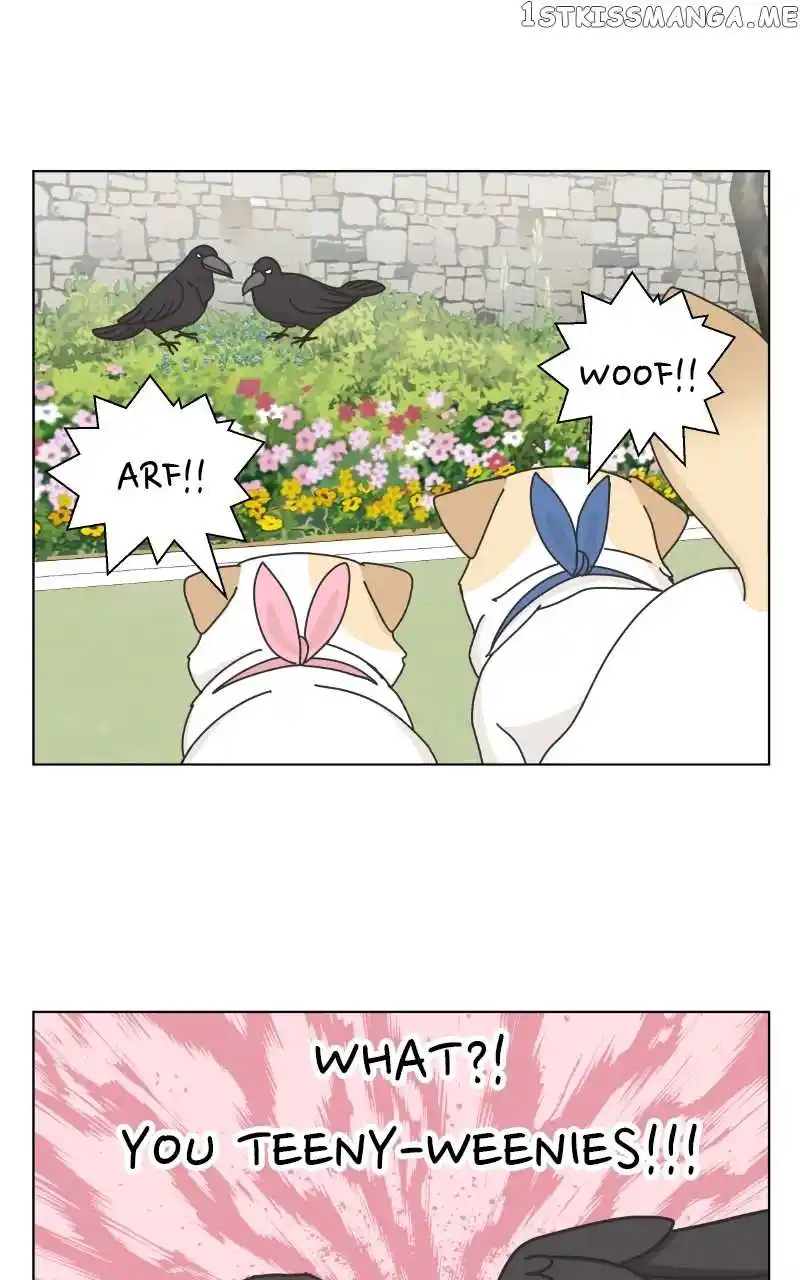 The Dog Diaries Chapter 104