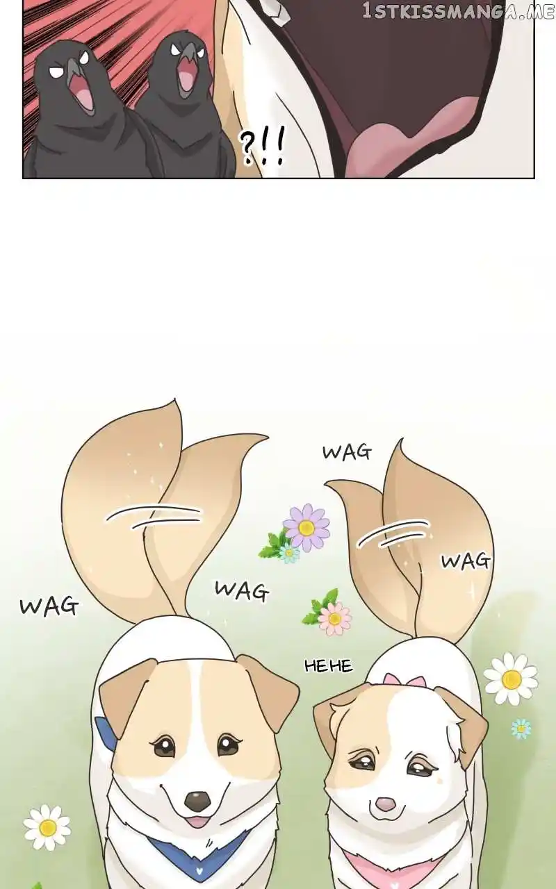 The Dog Diaries Chapter 104