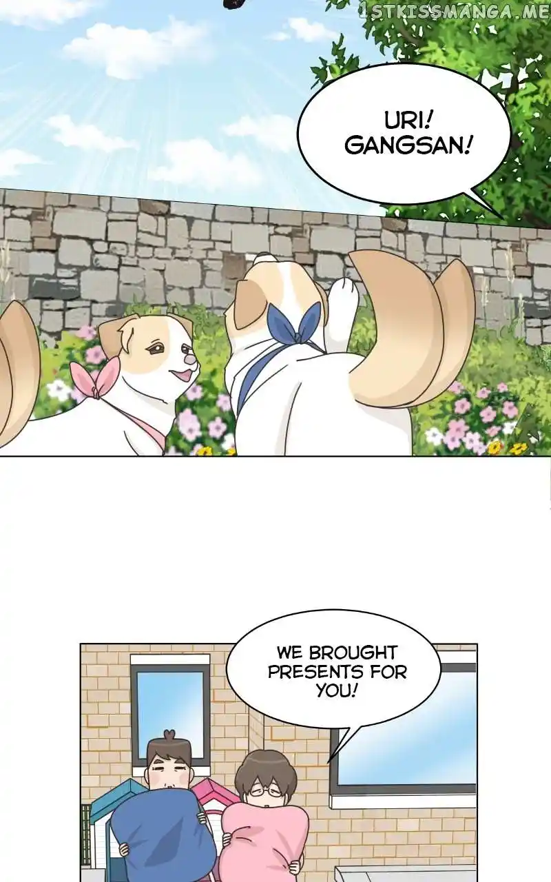 The Dog Diaries Chapter 104