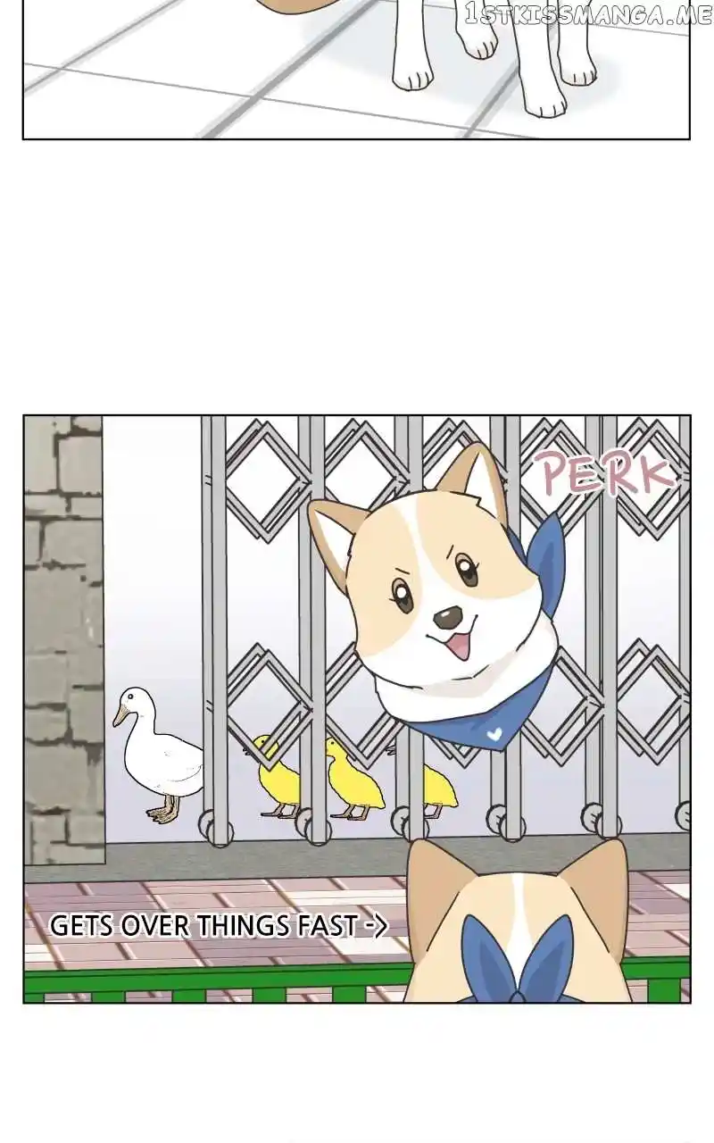 The Dog Diaries Chapter 104