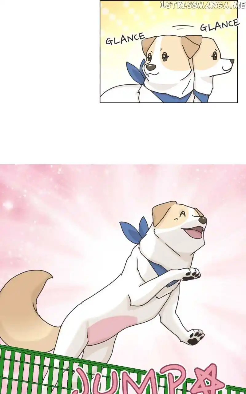 The Dog Diaries Chapter 104