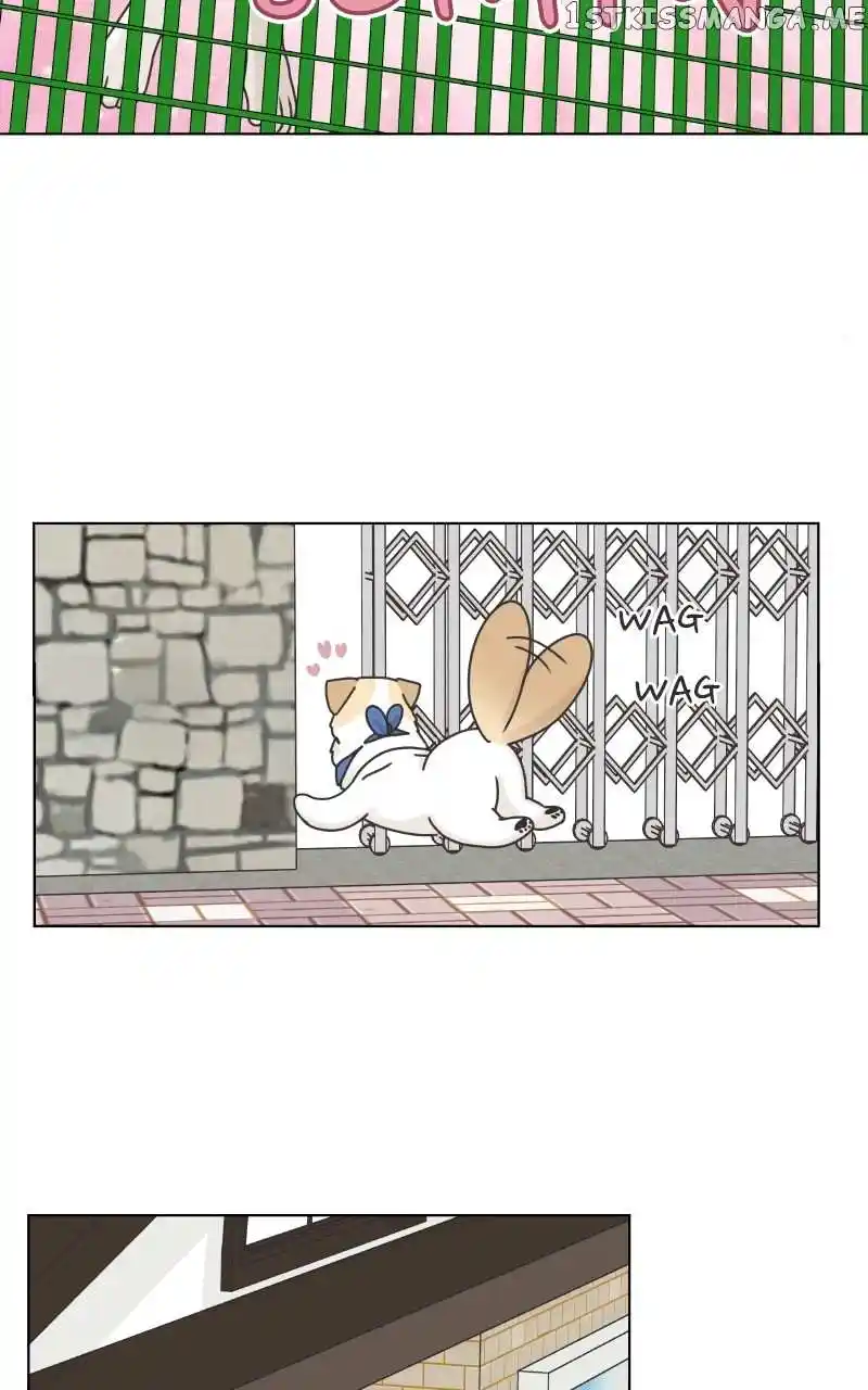 The Dog Diaries Chapter 104