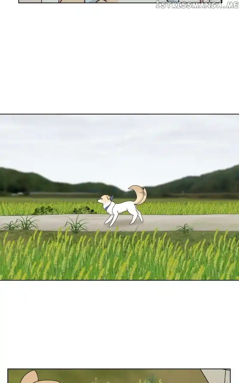 The Dog Diaries Chapter 104