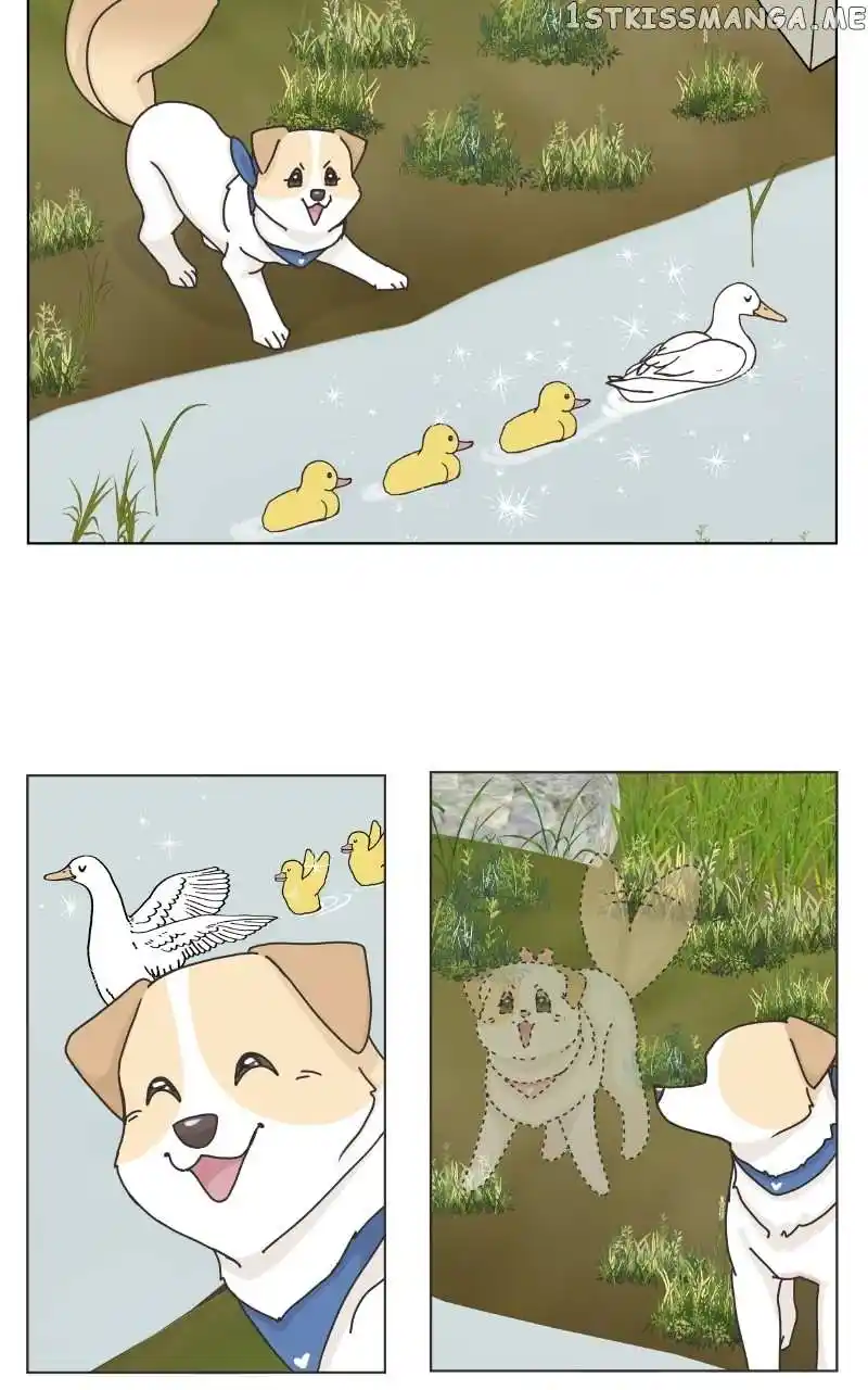 The Dog Diaries Chapter 104