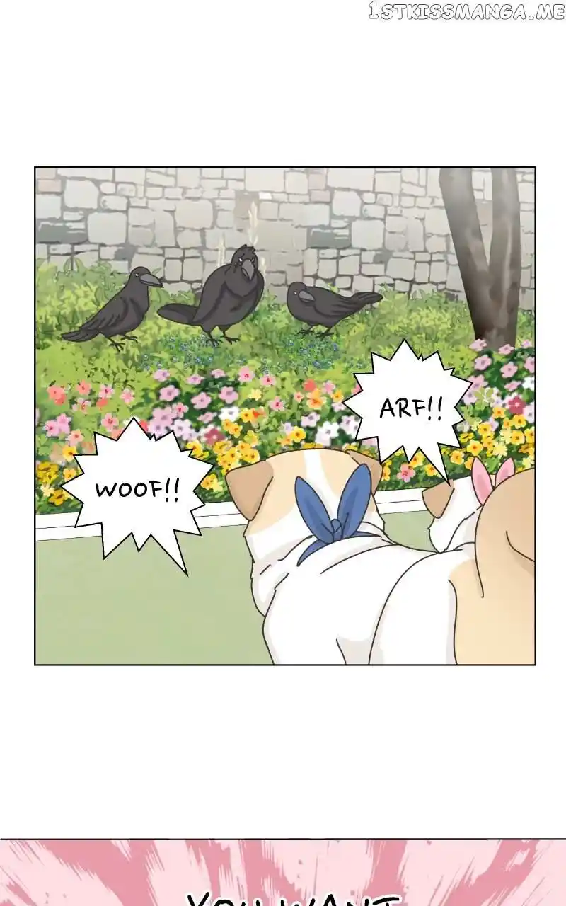 The Dog Diaries Chapter 104