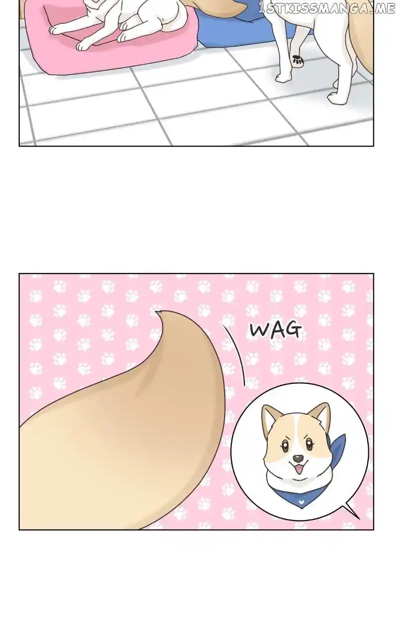 The Dog Diaries Chapter 104